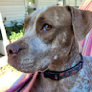 Meet your Posher, Devin._.822